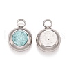 304 Stainless Steel Charms STAS-G133-13F-2