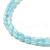 Natural Trochus Shell Beads Strands SHEL-K006-19D-3