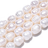 Natural Cultured Freshwater Pearl Beads Strands PEAR-N012-10D-4