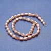 Natural Cultured Freshwater Pearl Beads Strands PEAR-P060-23C-2