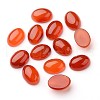 Grade A Natural Red Agate Oval Cabochons G-L394-10B-18x13mm-1