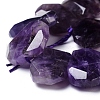 Natural Amethyst Beads Strands G-I283-B01-3