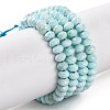 Natural Howlite Beads Strands G-H025-03C-08-1