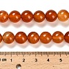 Dyed Natural Red Agate Beads Strands G-G203-10H-10mm-5
