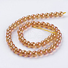 Electroplate Glass Beads Strands GLAA-K025-FR-10mm-A-3