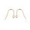 304 Stainless Steel Earring Hooks STAS-P210-21G-2