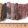 Natural Strawberry Quartz Beads Strands G-S386-D14-5