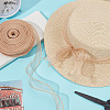 Polyester Organza Ribbons SRIB-WH20020-003A-02-4