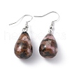Natural Rhodonite Dangle Earrings EJEW-P143-C14-1
