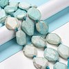 Natural Amazonite Beads Strands G-P319-22-5