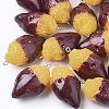 Resin Pendants X-RESI-T028-23-1