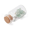 6Pcs Glass Wish Bottle Display Decoration PALLOY-JF03644-5