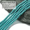 Eco-Friendly Dyed Glass Pearl Round Beads Strands HY-A002-4mm-RB073-3