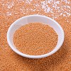 MIYUKI Round Rocailles Beads X-SEED-G007-RR0423-2
