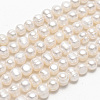 Natural Cultured Freshwater Pearl Beads Strands X-SPPA004Y-1-2