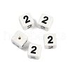Handmade Porcelain Beads PORC-R003-07-02-1