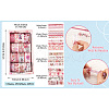 20pcs 5 Styles Scrapbooking Stickers DIY-TAC0029-03D-20