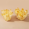 Natural Druzy Quartz Crystal Display Decorations PW-WG21545-02-1