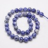 Natural Blue Spot Jasper Beads Strands G-G542-6mm-01-2