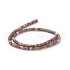 Natural Picture Jasper Beads Strands G-G783-09B-2