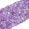 Natural Amethyst Beads Strands G-Q060-E16-2