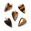 Natural Tiger Eye Pendants G-E570-01G-07-1