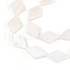 Natural Freshwater Shell Beads Strands SHEL-T020-13H-3