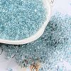 Glass Seed Beads SEED-L011-05B-07-1
