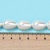Electroplate Shell Pearl Beads Strands BSHE-O019-05-3