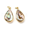 Natural Paua Shell & Epoxy Resin Pendants KK-E794-02G-02-1