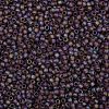 TOHO Round Seed Beads SEED-XTR08-0166BF-2