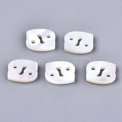 Natural White Shell Beads X-SSHEL-ZX004-02D-1