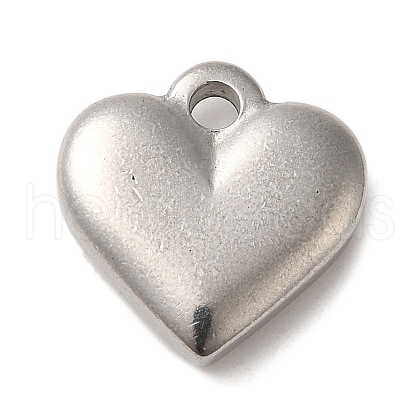 Non-Tarnish 304 Stainless Steel Pendants STAS-R223-02H-1