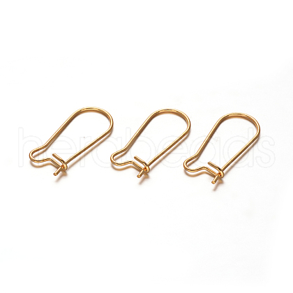 304 Stainless Steel Hoop Earrings STAS-D111-47-1