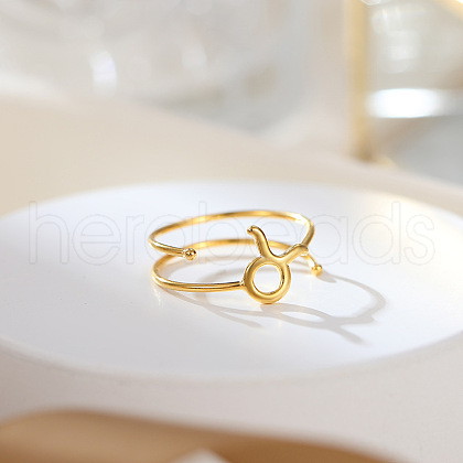 Twelve Constellations 925 Sterling Silver Finger Rings FS-WGD38E8-04-1
