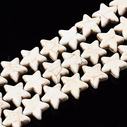 Gemstone Beads TURQ-S193-15x14mm-1-1