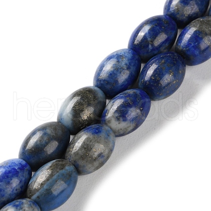 Natural Lapis Lazuli Beads Strands G-I369-B15-01-1
