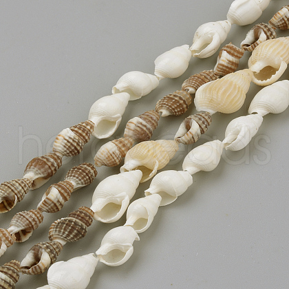Natural Sea Shell Beads Strands X-SSHEL-R043-05-1
