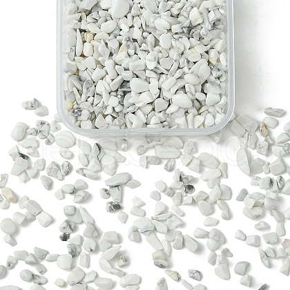 50G Natural Howlite Chip Beads G-YW0001-70-1