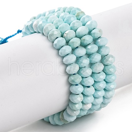 Natural Howlite Beads Strands G-H025-03C-08-1