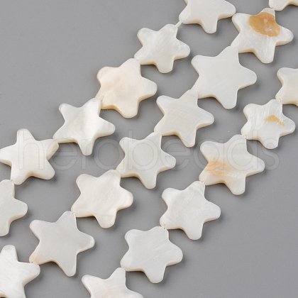 Natural Freshwater Shell Beads Strands SHEL-S276-85-1