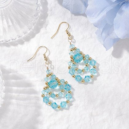 304 Stainless Steel Dangle Earrings EJEW-JE06368-02-1