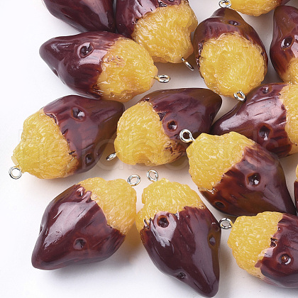 Resin Pendants X-RESI-T028-23-1