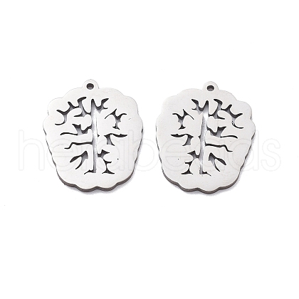 201 Stainless Steel Pendants STAS-V001-23-1