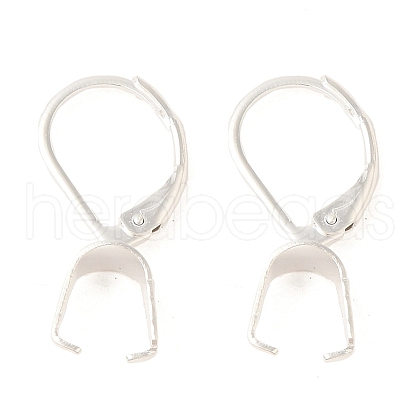 Ion Plating(IP)  304 Stainless Steel Leverback Earring Findings STAS-U025-01S-02-1