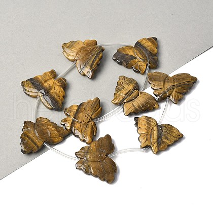 Natural Tiger Eye Beads Strands G-B136-A02-1
