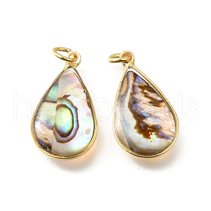 Natural Paua Shell & Epoxy Resin Pendants KK-E794-02G-02-1