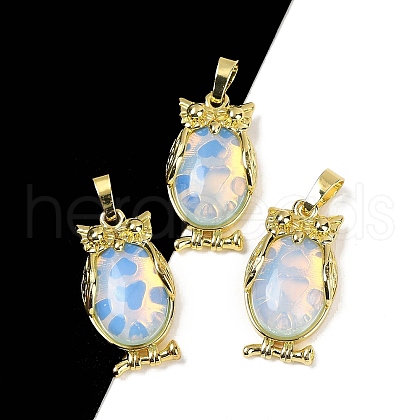 Opalite Pendant KK-F887-02G-01-1