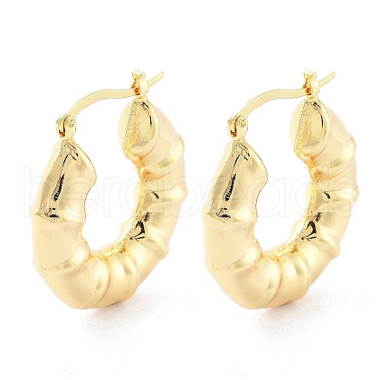 Brass Hoop Earrings EJEW-H301-01G-01-1