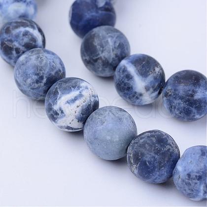 Natural Sodalite Beads Strands G-Q462-8mm-07-1